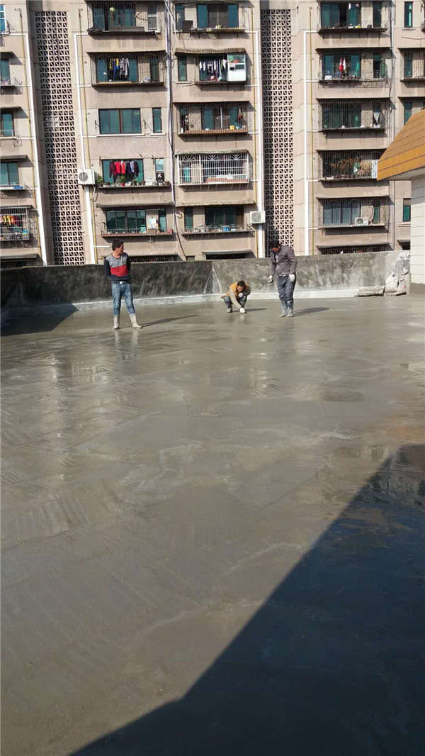 05.jpg