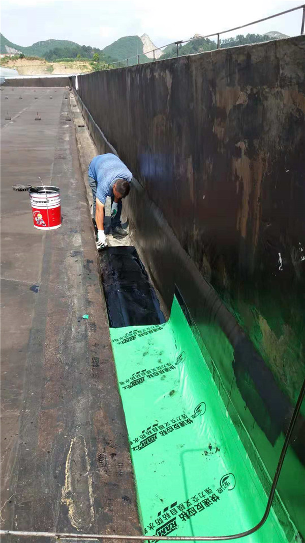 117.jpg